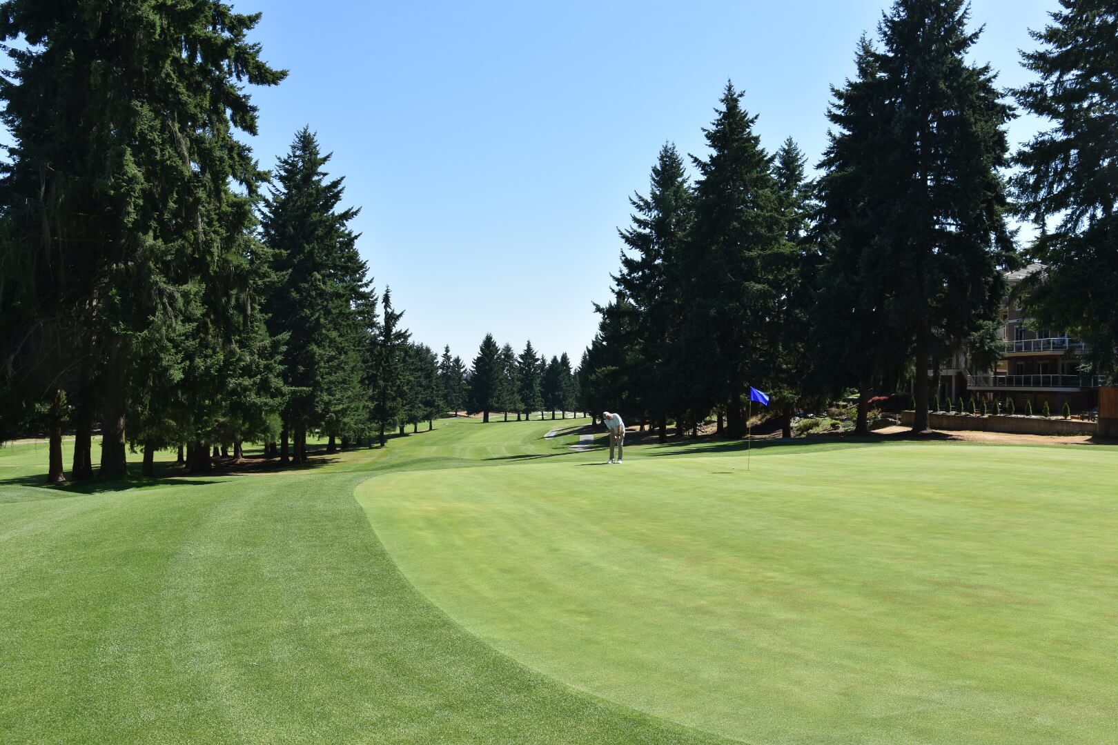 North Shore Golf Course